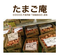 【日本】cocco-farm